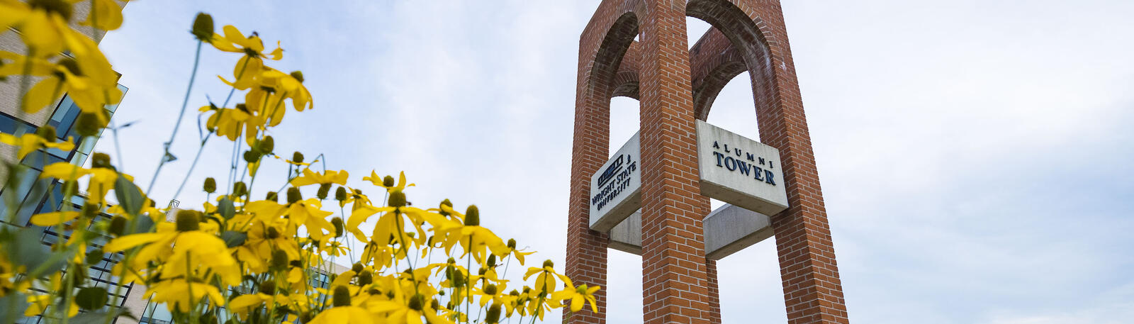 photo of yellow flowers blooming next to alumni tower on wright state's campus