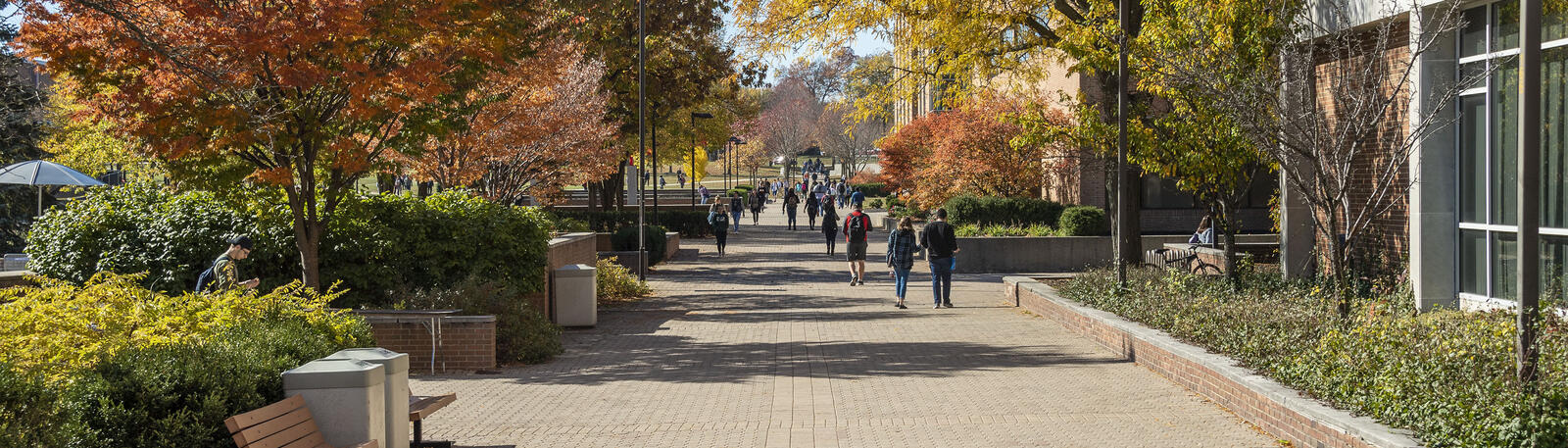 photo of students walking on wright state's campus